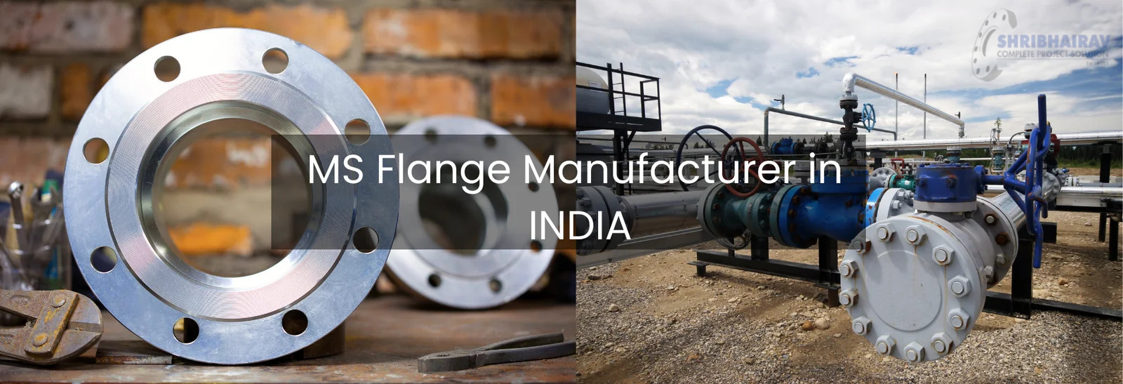 MS Flanges Manufacturer